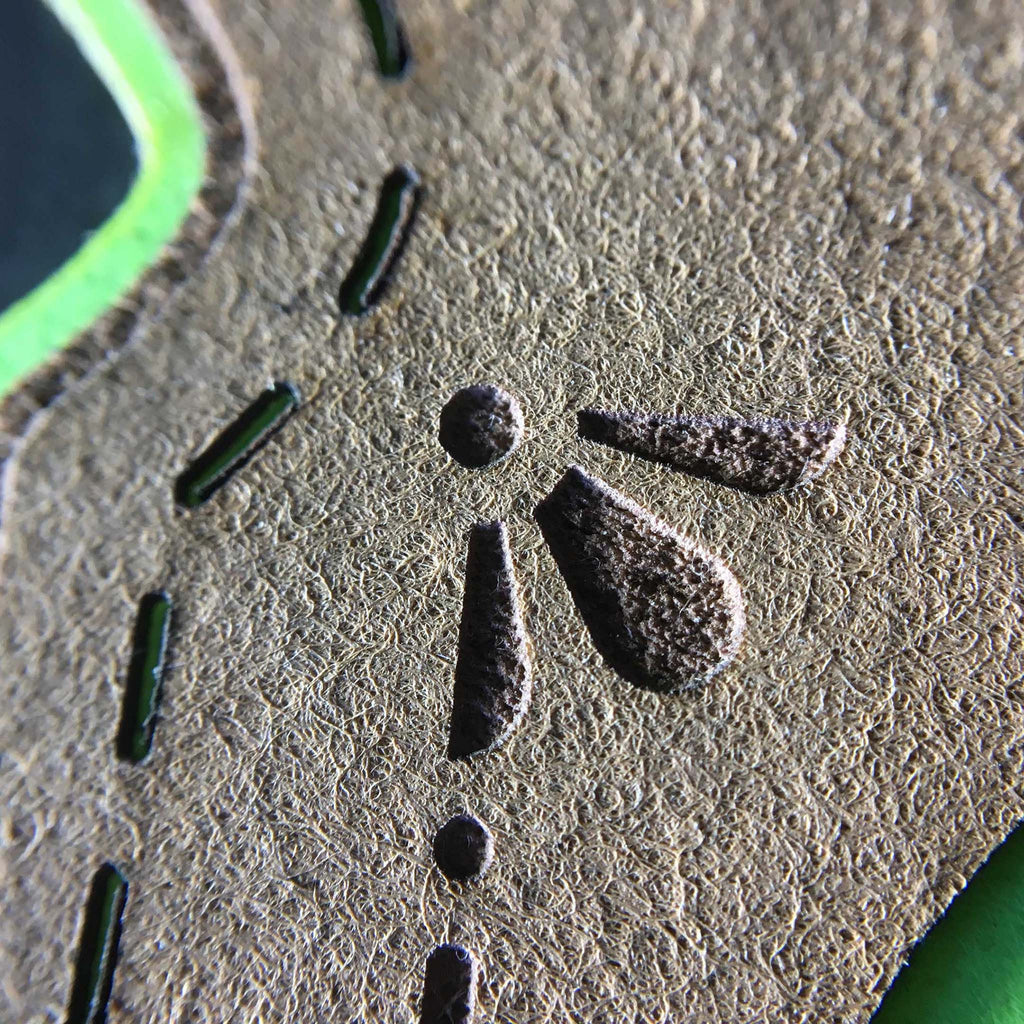 Cactus Hook or Crook Agave