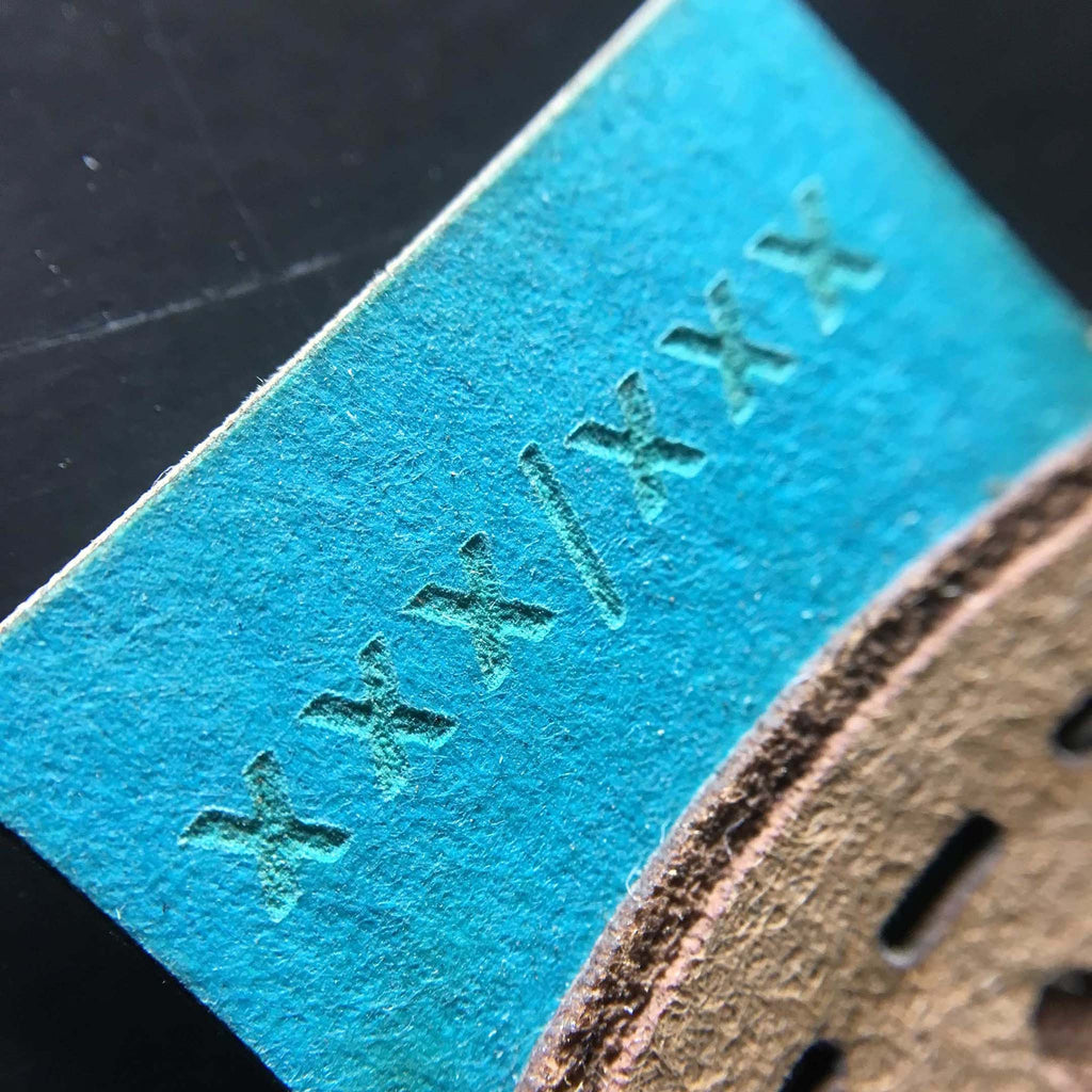 Cactus Hook or Crook Agave