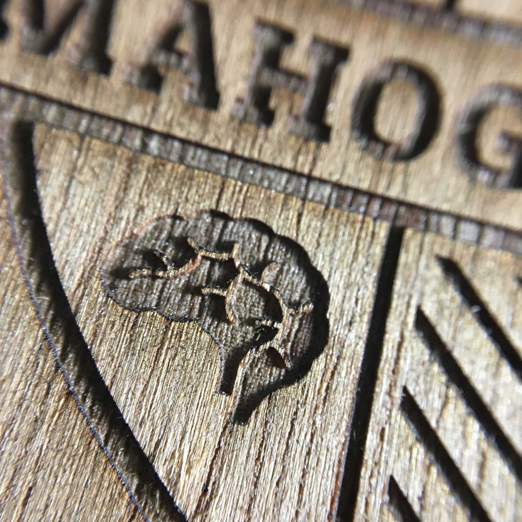 Cactus Man Therapy Packaging