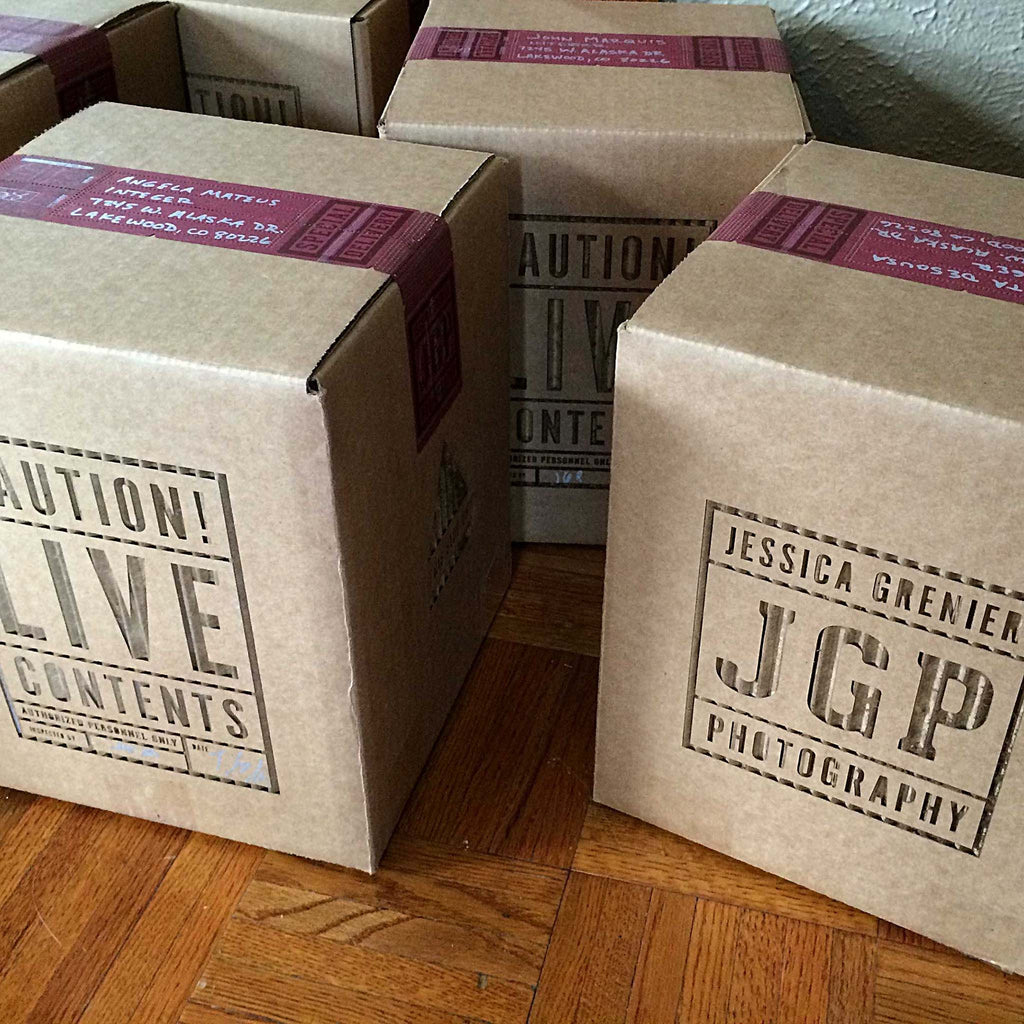 Jessica Grenier Photography Terrarium Packaging